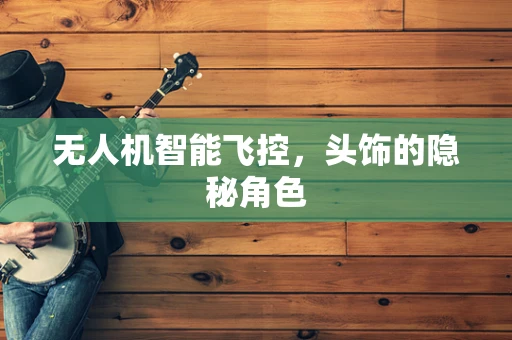 无人机智能飞控，头饰的隐秘角色