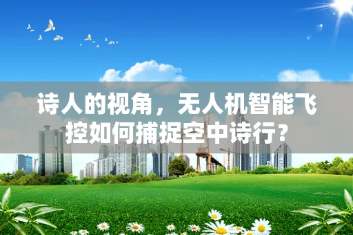 诗人的视角，无人机智能飞控如何捕捉空中诗行？