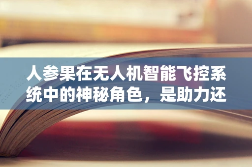 人参果在无人机智能飞控系统中的神秘角色，是助力还是干扰？