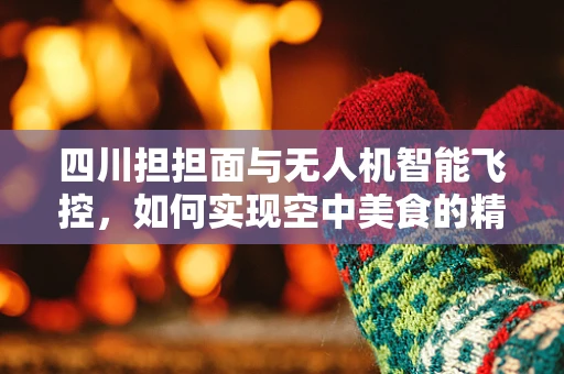 四川担担面与无人机智能飞控，如何实现空中美食的精准配送？