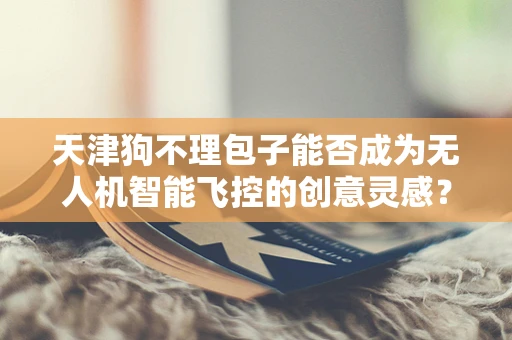 天津狗不理包子能否成为无人机智能飞控的创意灵感？