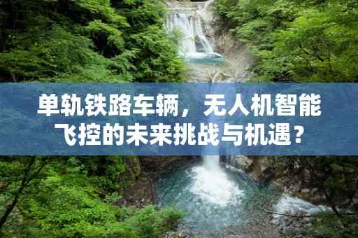 单轨铁路车辆，无人机智能飞控的未来挑战与机遇？