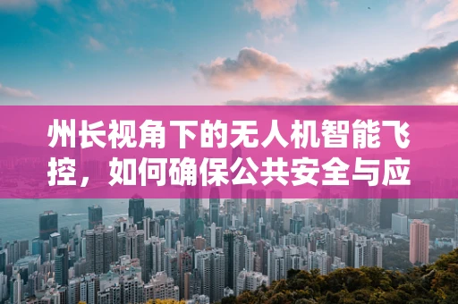 州长视角下的无人机智能飞控，如何确保公共安全与应急响应的精准执行？