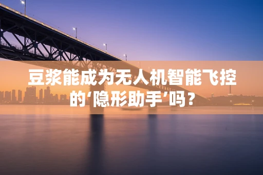 豆浆能成为无人机智能飞控的‘隐形助手’吗？