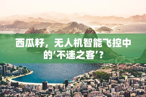 西瓜籽，无人机智能飞控中的‘不速之客’？