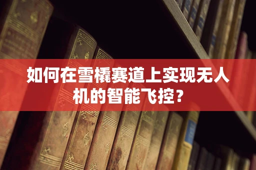 如何在雪橇赛道上实现无人机的智能飞控？