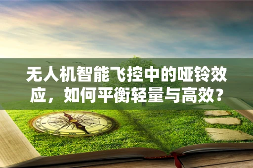 无人机智能飞控中的哑铃效应，如何平衡轻量与高效？