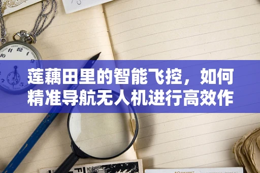 莲藕田里的智能飞控，如何精准导航无人机进行高效作业？
