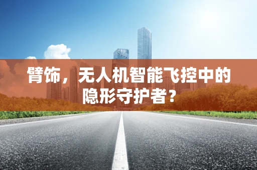 臂饰，无人机智能飞控中的隐形守护者？