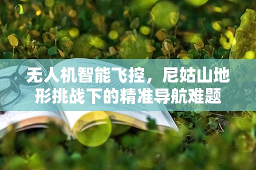 无人机智能飞控，尼姑山地形挑战下的精准导航难题
