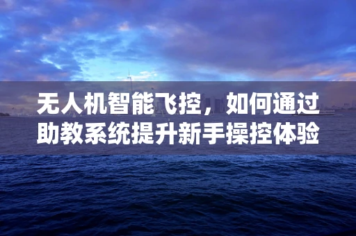 无人机智能飞控，如何通过助教系统提升新手操控体验？