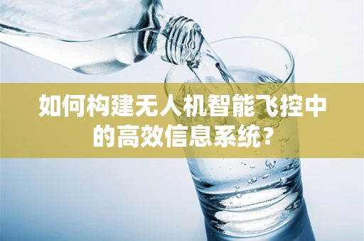 如何构建无人机智能飞控中的高效信息系统？