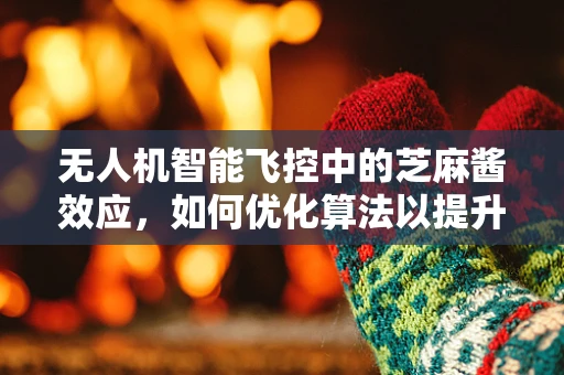 无人机智能飞控中的芝麻酱效应，如何优化算法以提升稳定性？