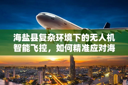 海盐县复杂环境下的无人机智能飞控，如何精准应对海风挑战？