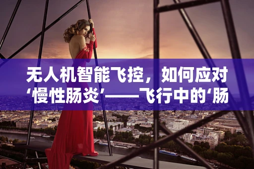 无人机智能飞控，如何应对‘慢性肠炎’——飞行中的‘肠道’健康管理？