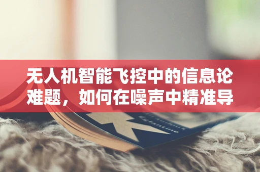 无人机智能飞控中的信息论难题，如何在噪声中精准导航？