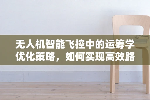 无人机智能飞控中的运筹学优化策略，如何实现高效路径规划？