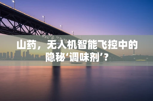 山药，无人机智能飞控中的隐秘‘调味剂’？