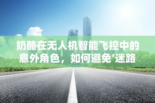 奶酪在无人机智能飞控中的意外角色，如何避免‘迷路’？
