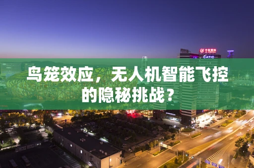 鸟笼效应，无人机智能飞控的隐秘挑战？