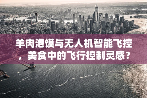 羊肉泡馍与无人机智能飞控，美食中的飞行控制灵感？