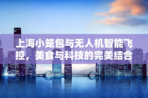 上海小笼包与无人机智能飞控，美食与科技的完美结合？