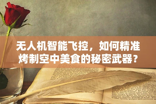 无人机智能飞控，如何精准烤制空中美食的秘密武器？