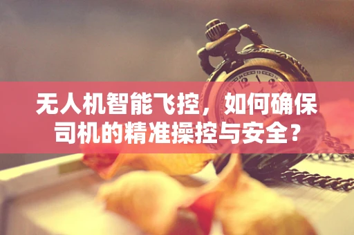 无人机智能飞控，如何确保司机的精准操控与安全？