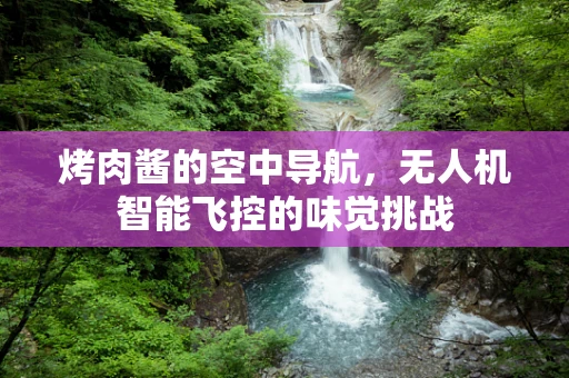 烤肉酱的空中导航，无人机智能飞控的味觉挑战