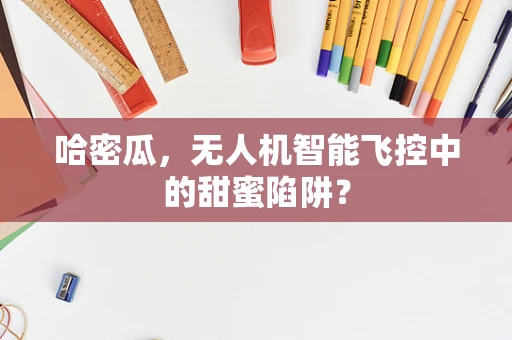 哈密瓜，无人机智能飞控中的甜蜜陷阱？
