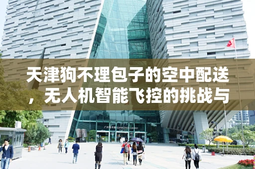 天津狗不理包子的空中配送，无人机智能飞控的挑战与机遇