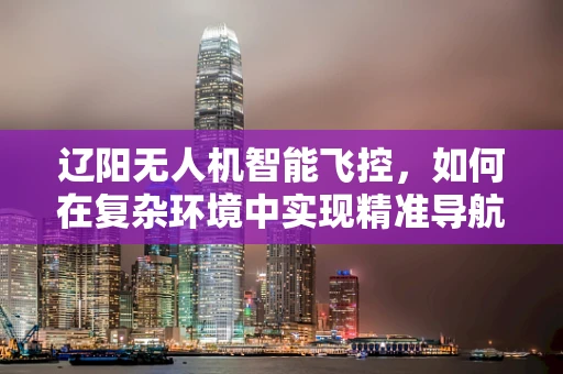辽阳无人机智能飞控，如何在复杂环境中实现精准导航？