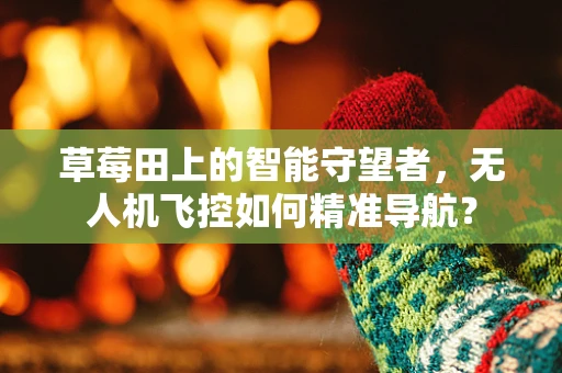 草莓田上的智能守望者，无人机飞控如何精准导航？
