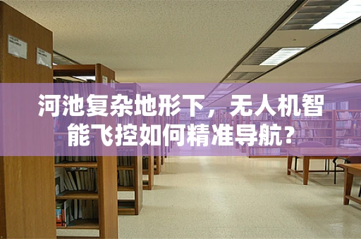 河池复杂地形下，无人机智能飞控如何精准导航？