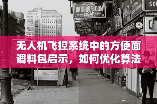 无人机飞控系统中的方便面调料包启示，如何优化算法以提升飞行效率？