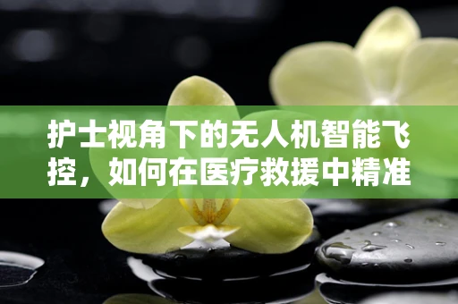 护士视角下的无人机智能飞控，如何在医疗救援中精准定位与高效调度？