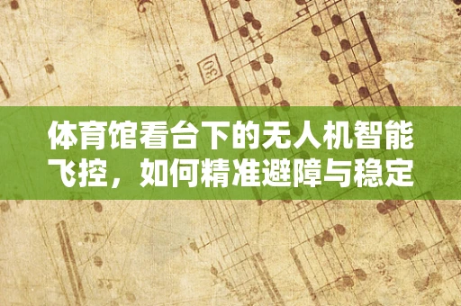 体育馆看台下的无人机智能飞控，如何精准避障与稳定悬停？