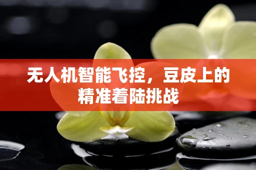 无人机智能飞控，豆皮上的精准着陆挑战