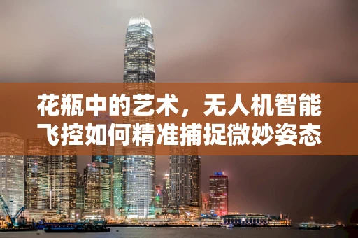 花瓶中的艺术，无人机智能飞控如何精准捕捉微妙姿态？