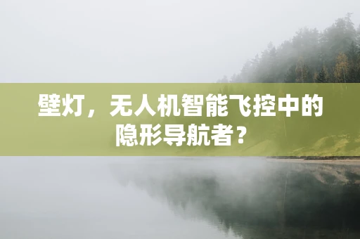 壁灯，无人机智能飞控中的隐形导航者？