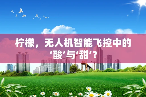 柠檬，无人机智能飞控中的‘酸’与‘甜’？