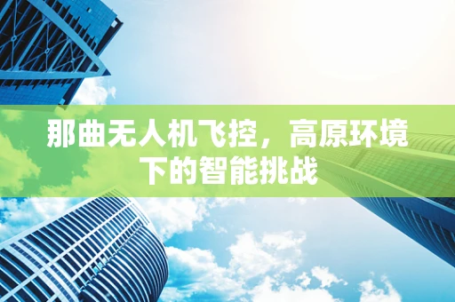 那曲无人机飞控，高原环境下的智能挑战