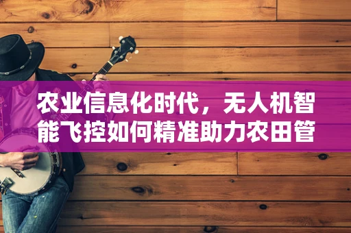 农业信息化时代，无人机智能飞控如何精准助力农田管理？