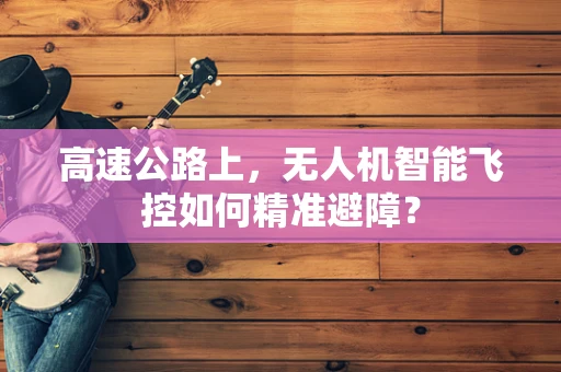 高速公路上，无人机智能飞控如何精准避障？