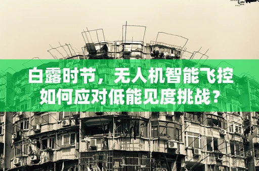 白露时节，无人机智能飞控如何应对低能见度挑战？
