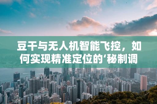 豆干与无人机智能飞控，如何实现精准定位的‘秘制调料’？