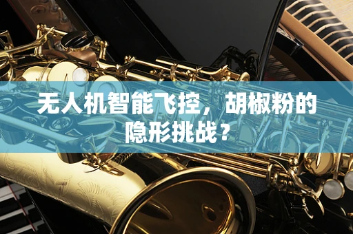 无人机智能飞控，胡椒粉的隐形挑战？