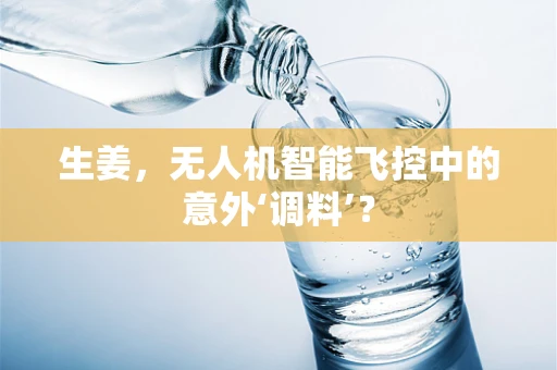 生姜，无人机智能飞控中的意外‘调料’？