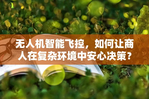 无人机智能飞控，如何让商人在复杂环境中安心决策？
