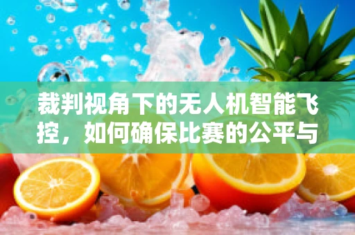 裁判视角下的无人机智能飞控，如何确保比赛的公平与安全？